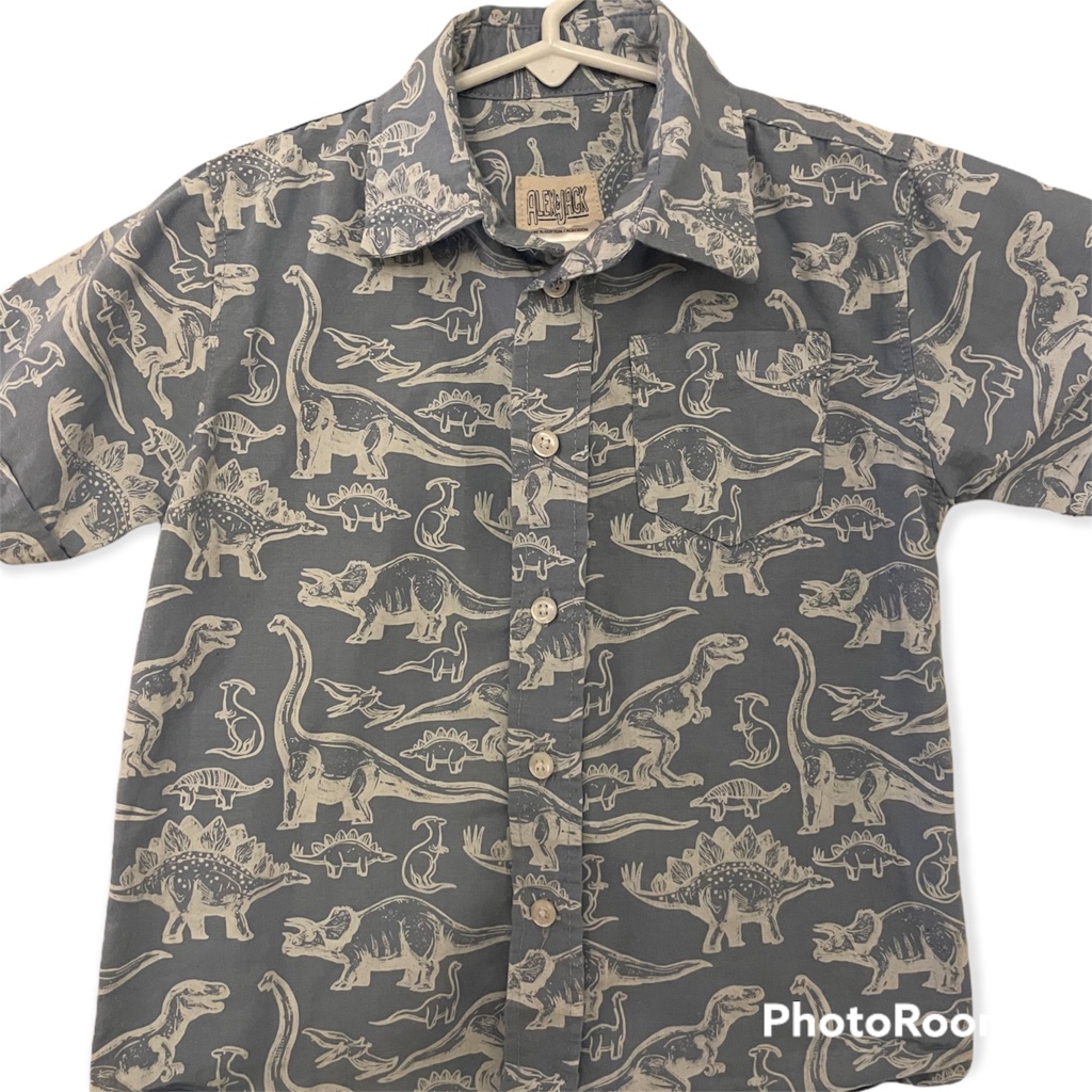 Dinosaur Button Down